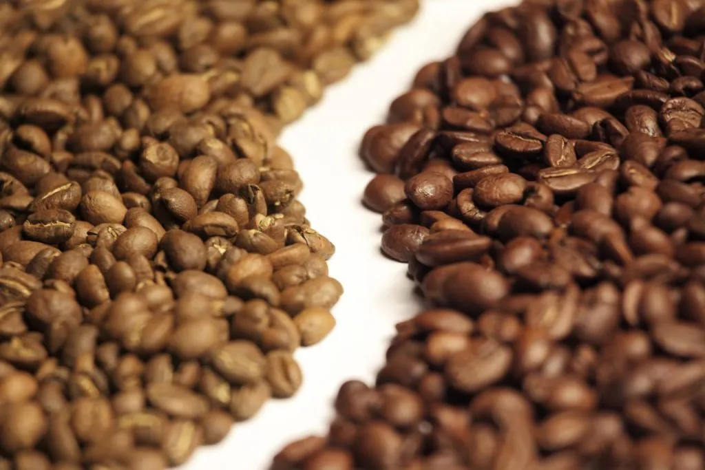 Coffee & Cacao