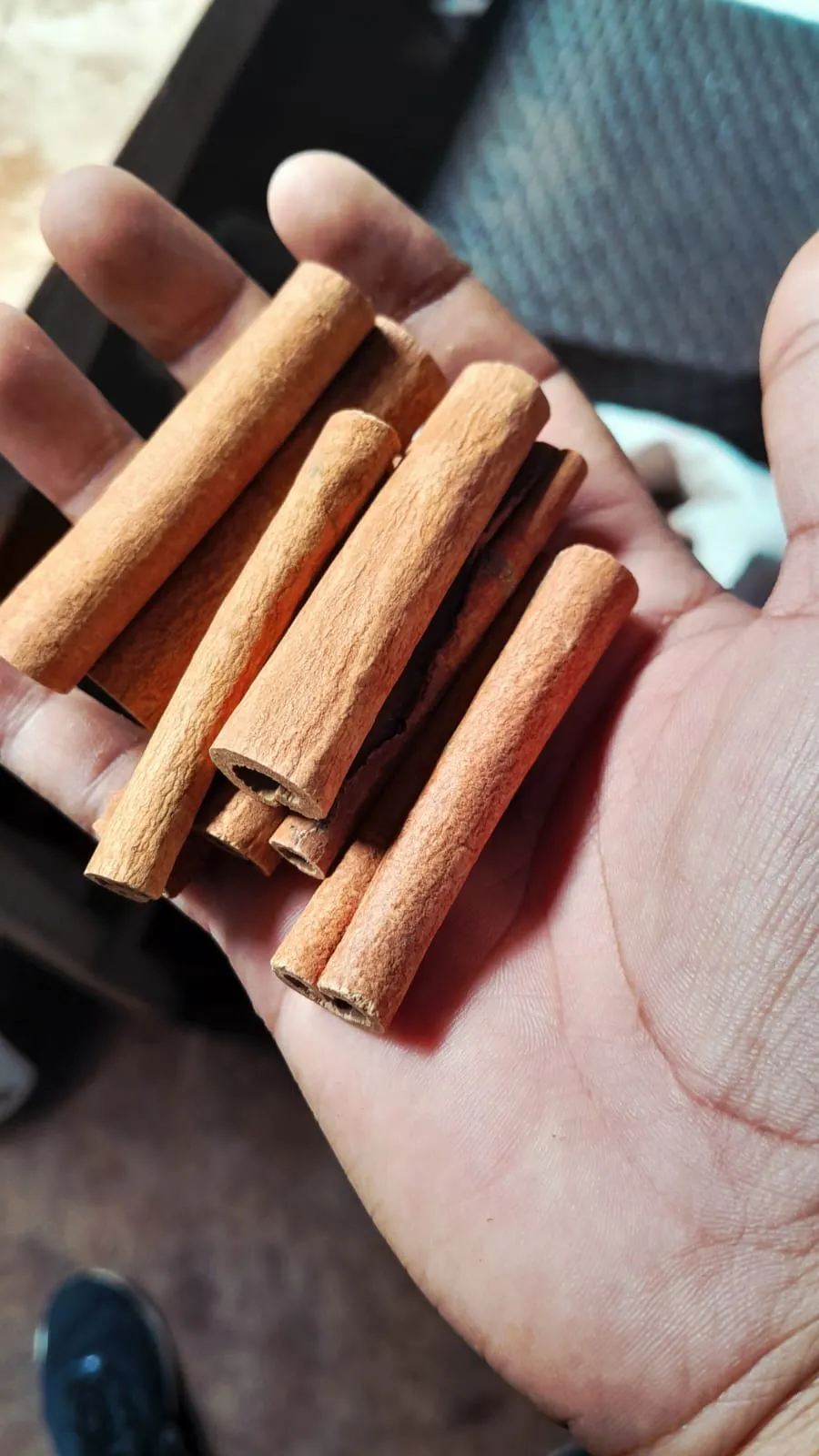 Export Spices Indonesia - Cacao